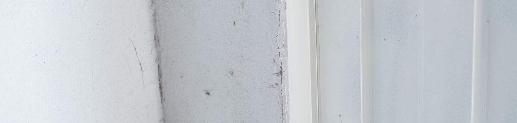 Beneficios del lambrín para mantener tus paredes libres de humedad y suciedad