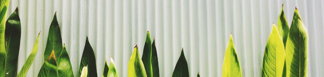 El lambrín como solución sustentable en proyectos arquitectónicos